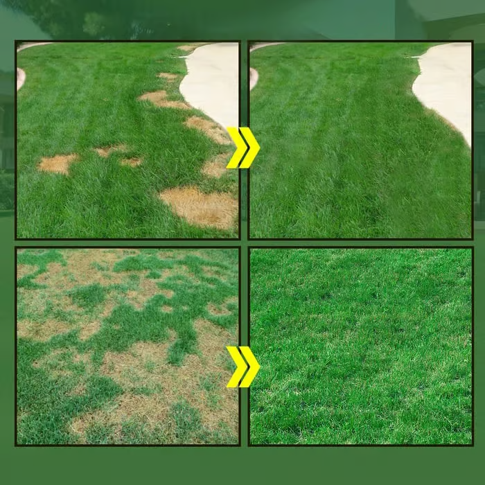 🔥🌱Hydro Seeding Lawn Slution
