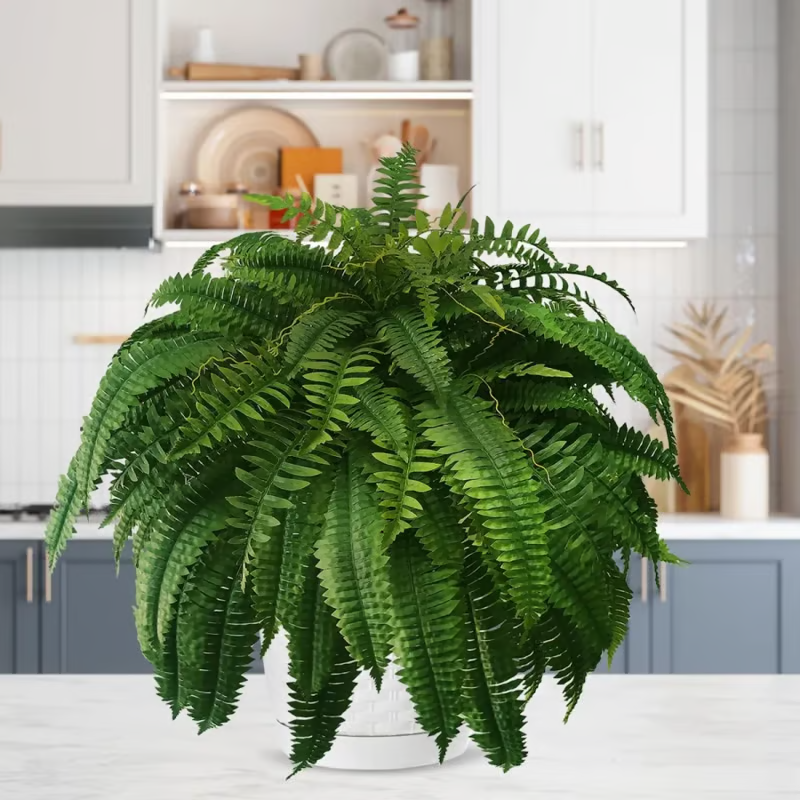 🔥Last Day 75% OFF--🌿UV Resistant Lifelike Artificial Boston Fern🔥