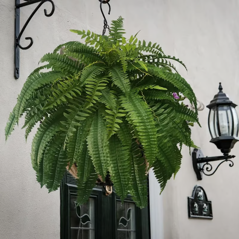 🔥Last Day 75% OFF--🌿UV Resistant Lifelike Artificial Boston Fern🔥