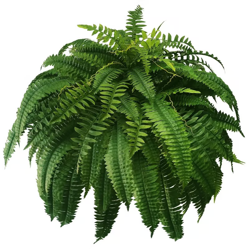🔥Last Day 75% OFF--🌿UV Resistant Lifelike Artificial Boston Fern🔥