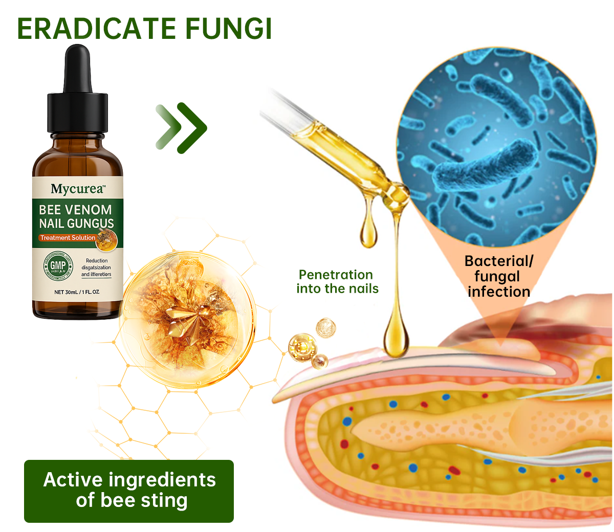💔 Mycurea™ Bee Venom Nail Fungus Treatment Liquid
