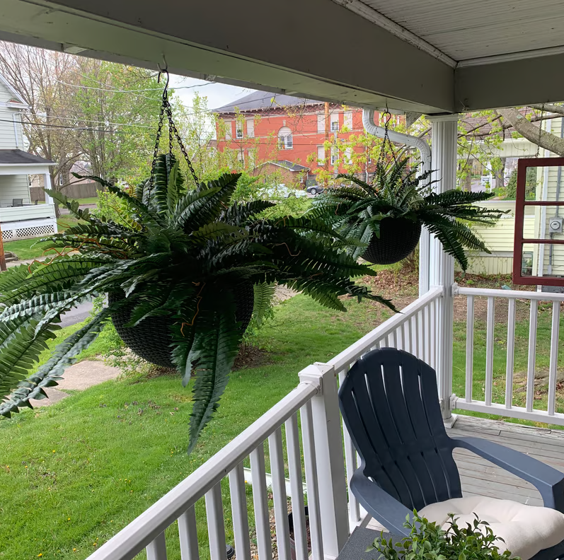🔥Last Day 75% OFF--🌿UV Resistant Lifelike Artificial Boston Fern🔥